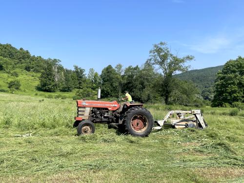 xxx in June at Cobble Hill in southwest MA