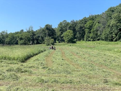 xxx in June at Cobble Hill in southwest MA