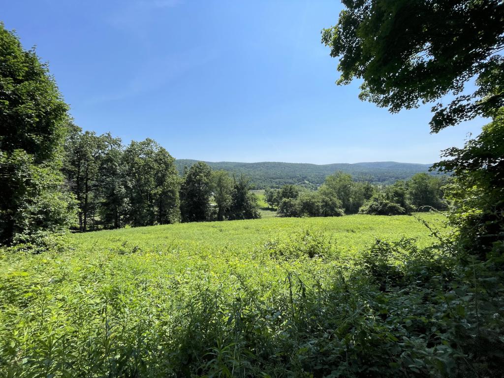 view in June at Cobble Hill in southwest MA