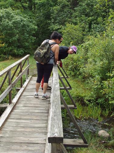 Sandra and Linda on the trail to Cole Pond in southwestern New Hampshire