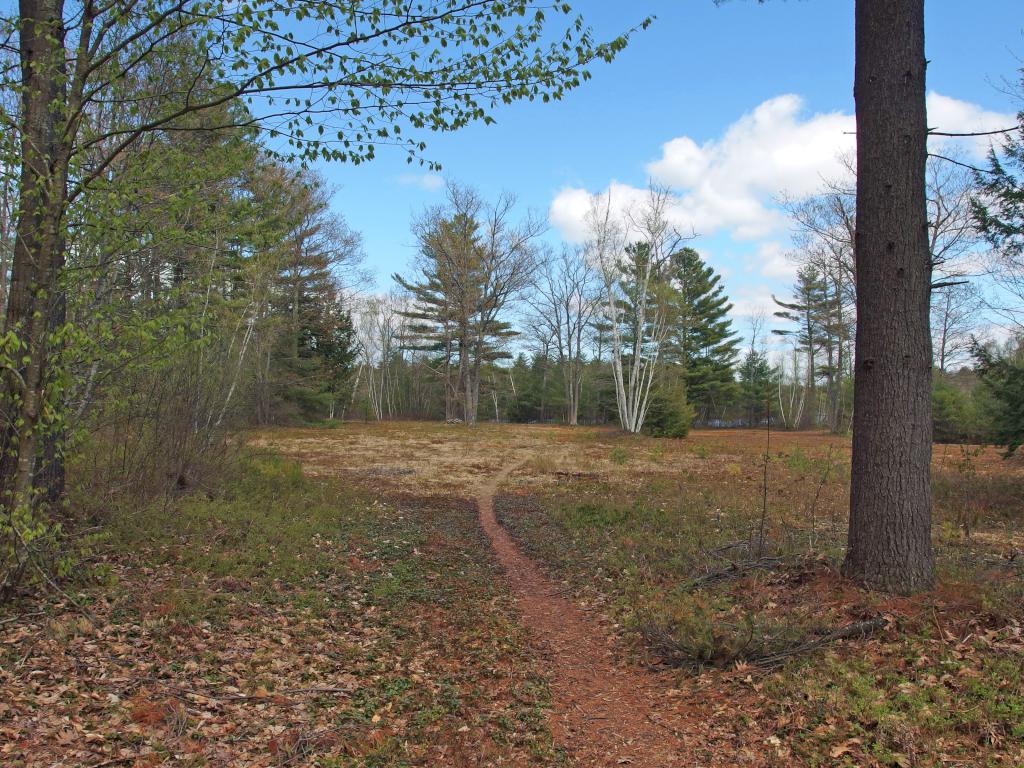 Pollinator Initiative space in May at Roger's Landing near Contoocook Marsh at Rindge in southern New Hampshire