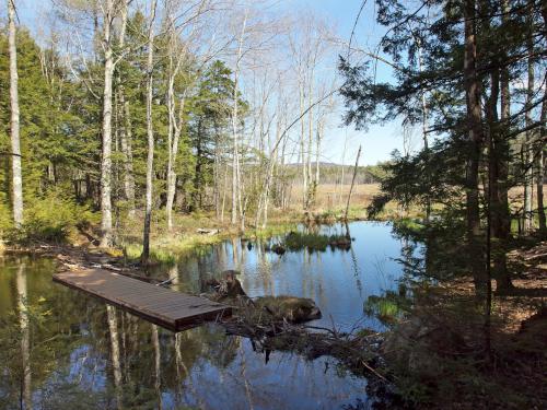 flooded trail in May at Converse Meadow near Rindge in southern New Hampshire