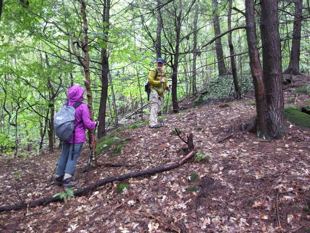 Andee and Dick bushwhack up to Cooper Hill near Marlborough in southwestern New Hampshire