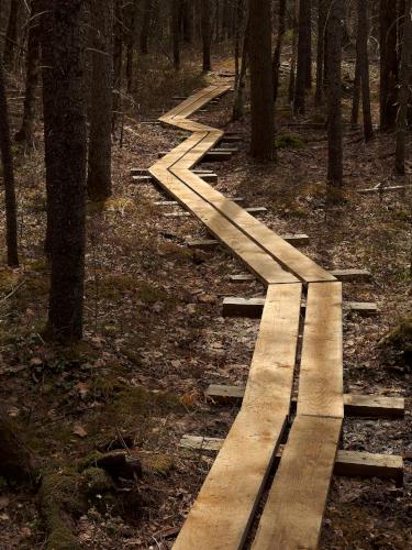 boardwalk at Cooper Cedar Woods near New Durham in southern New Hampshire