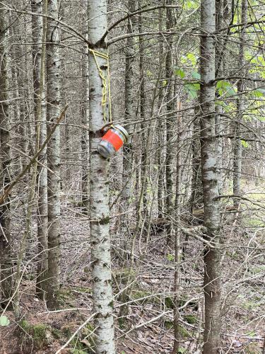 hiker canister in June at Corkscrew Hill in northern New Hampshire