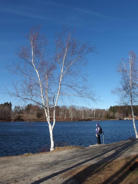 Andee in November on the shoreline of Front Bay beside Cotton Valley Rail Trail near Wolfeboro, NH