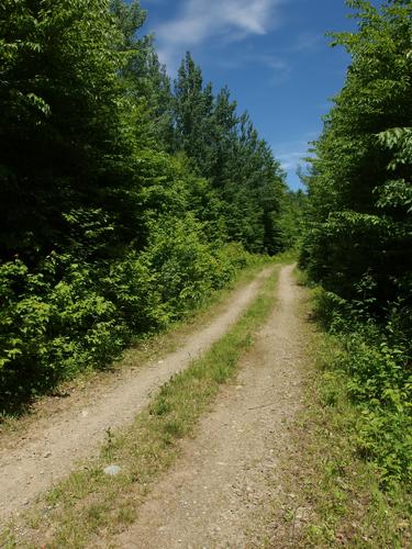 Neville Brook Road on the way to Cow Mountain in northern New Hampshire