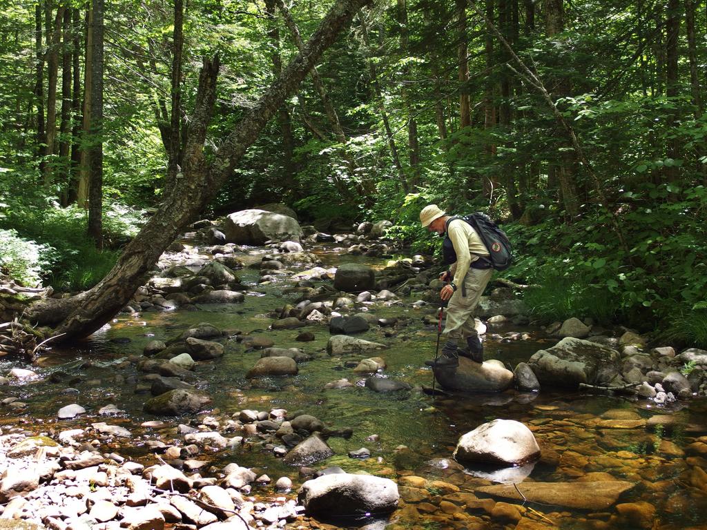 Dick crosses Neville Brook on the way to Cow Mountain in northern New Hampshire