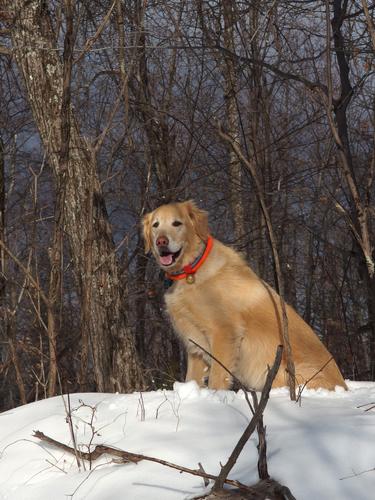 Reuben in December atop the summit of Cragged Mountain in eastern New Hampshire