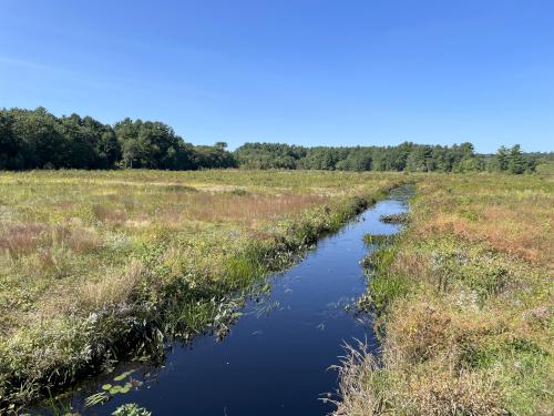 Cranberry Bog in September near Carlisle in northeast MA