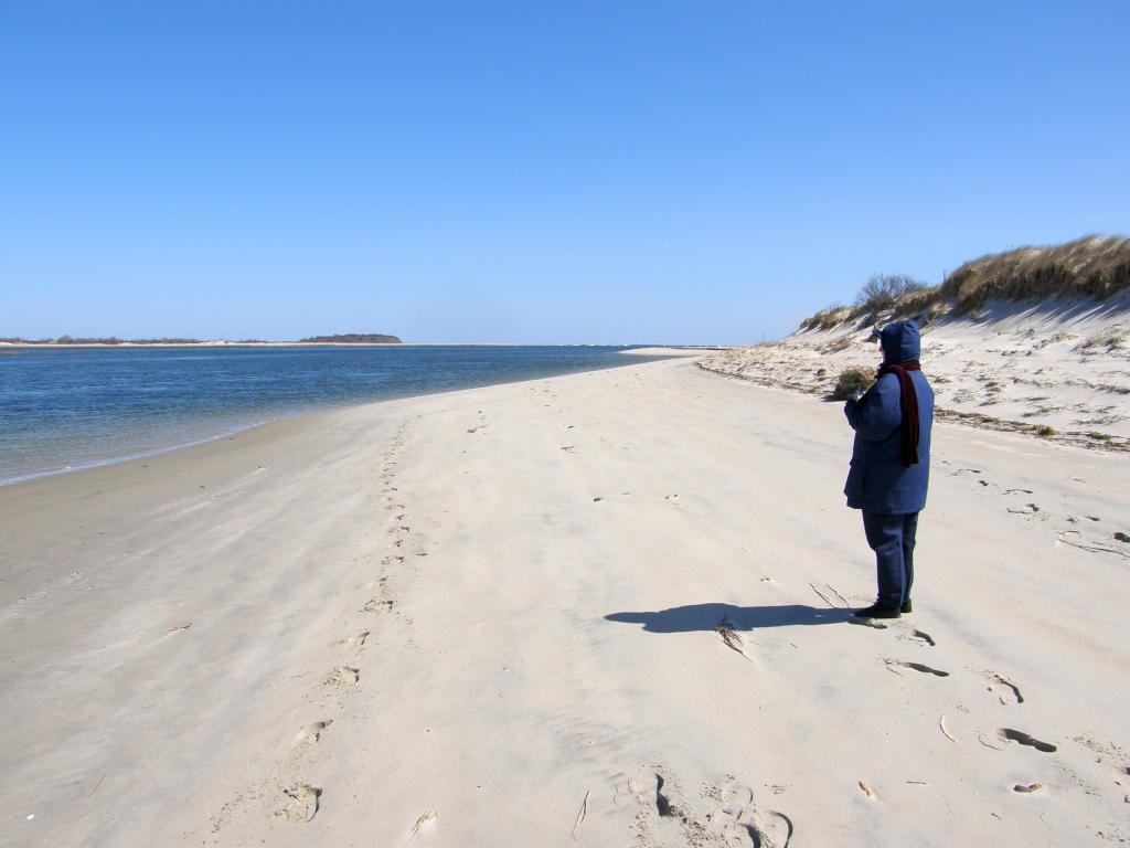 Betty Lou enjoys a solo walk at Crane Beach in March in Massachusetts