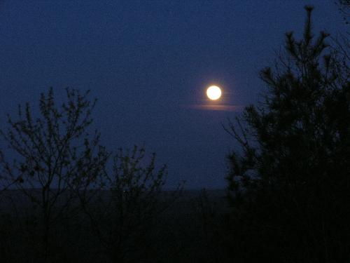 moonrise on Crotched Mountain in New Hampshire