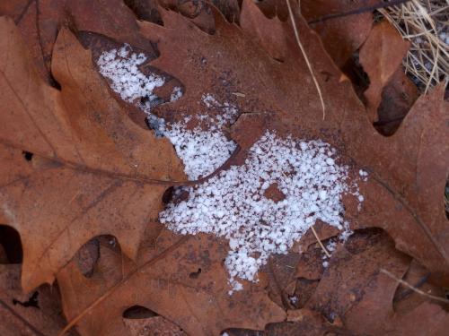 snow on the trail at Crow Hill in eastern Massachusetts