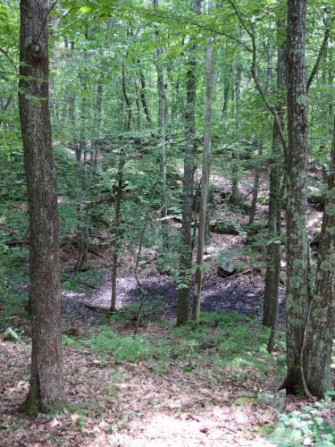 Gorge at Crystal Conservation Areas in northeastern Massachusetts