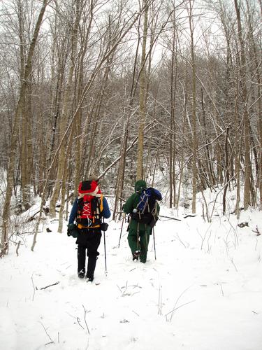 bushwhackers enroute to Mount Cushman in New Hampshire