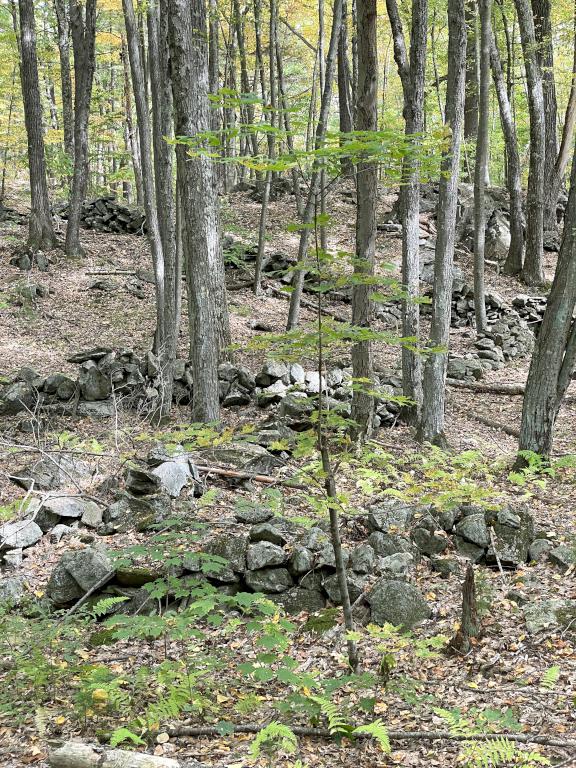 stone walls in September at Cutler-Spalding Conservation Area in southern NH