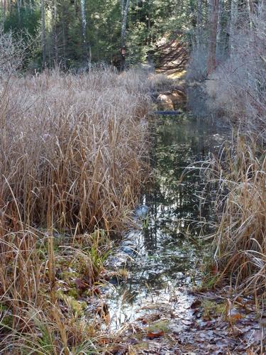 Hardy Bypass trail at Dagody Hill in southern New Hampshire