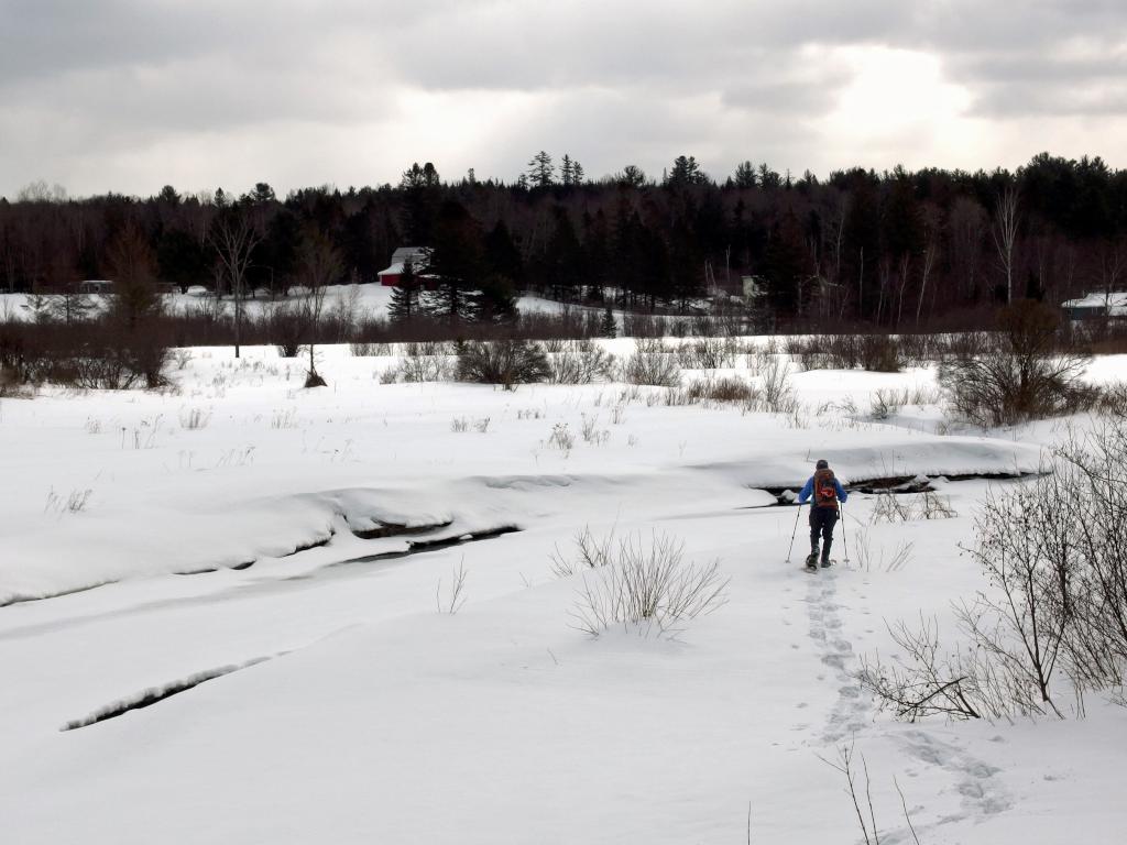 Dick heading out to Johns River at David Dana Forest in northern New Hampshire