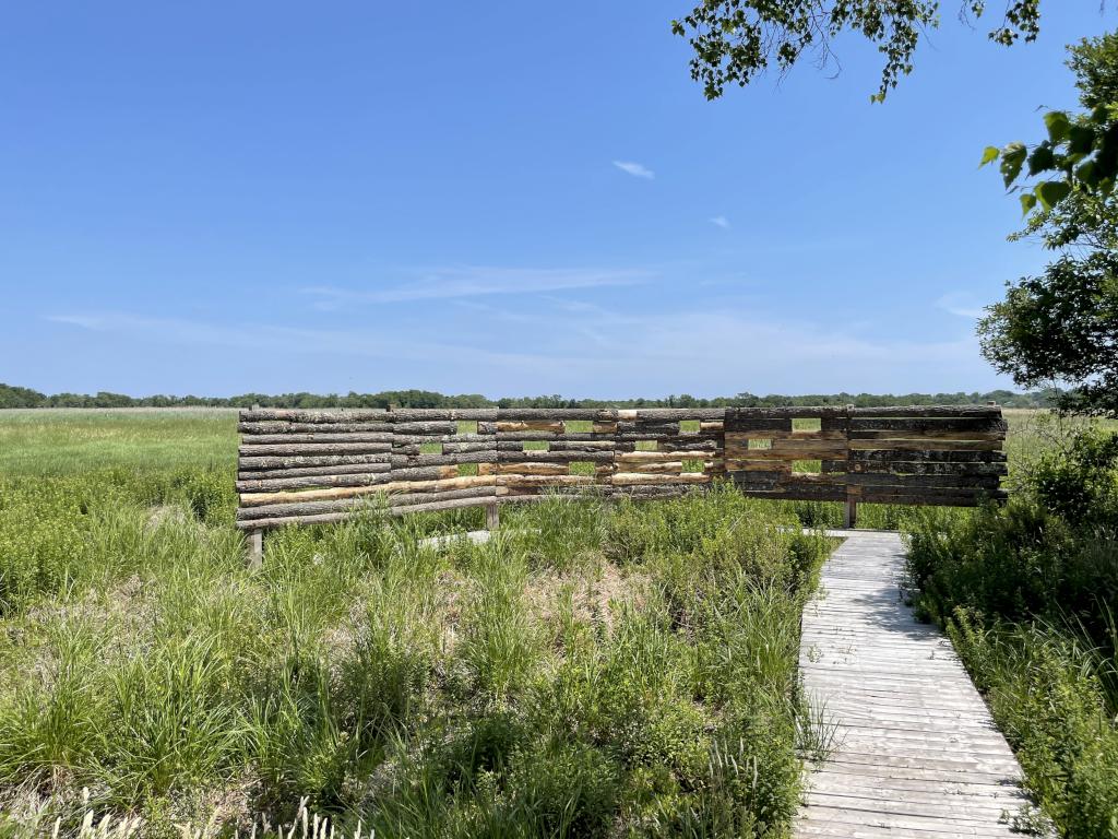 viewing blind in June at Daniel Webster Wildlife Sanctuary in eastern Massachusetts