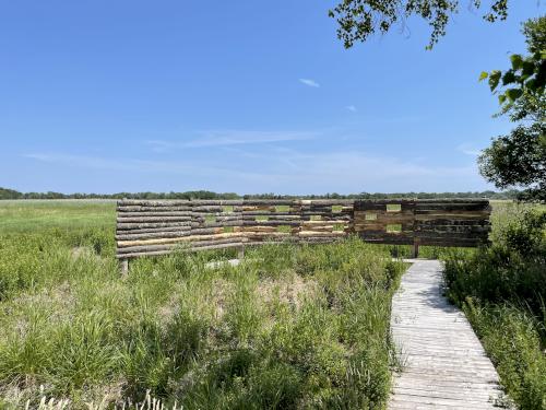 viewing blind in June at Daniel Webster Wildlife Sanctuary in eastern Massachusetts