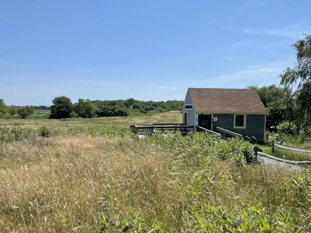 visitor cabin in June at Daniel Webster Wildlife Sanctuary in eastern Massachusetts