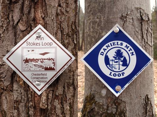 trail sign blazes on the way to Daniels Mountain in New Hampshire