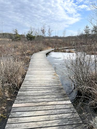 boardwalk in February at Danvers Swamp Walk in northeast MA