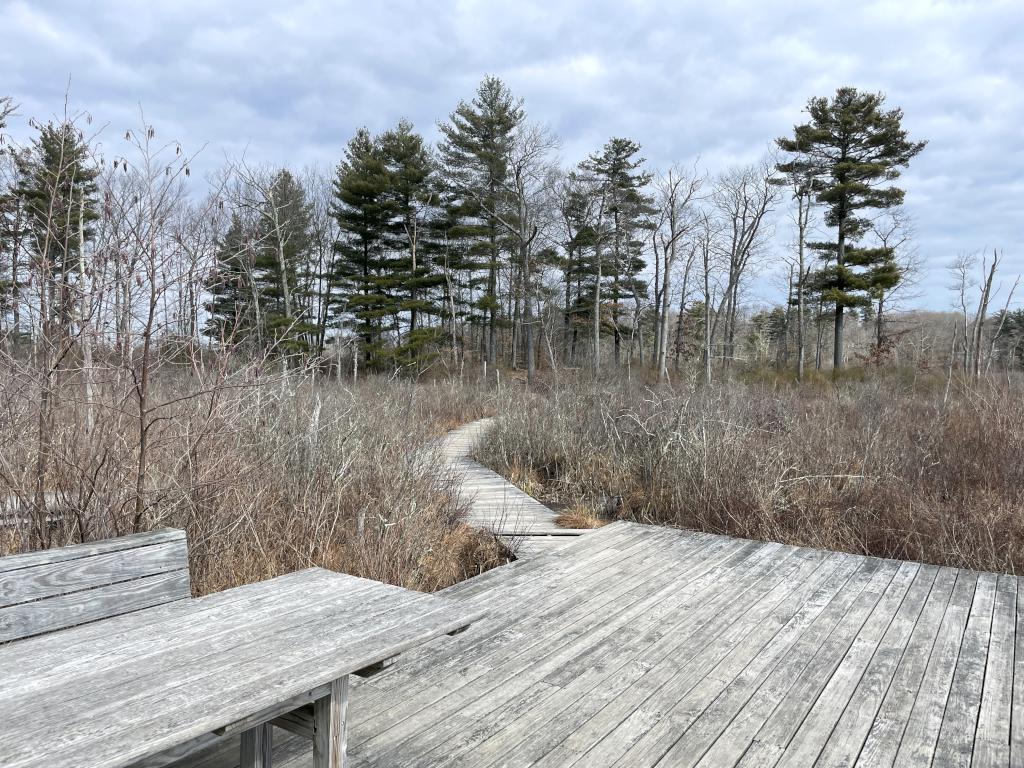 observation platform in February at Danvers Swamp Walk in northeast MA