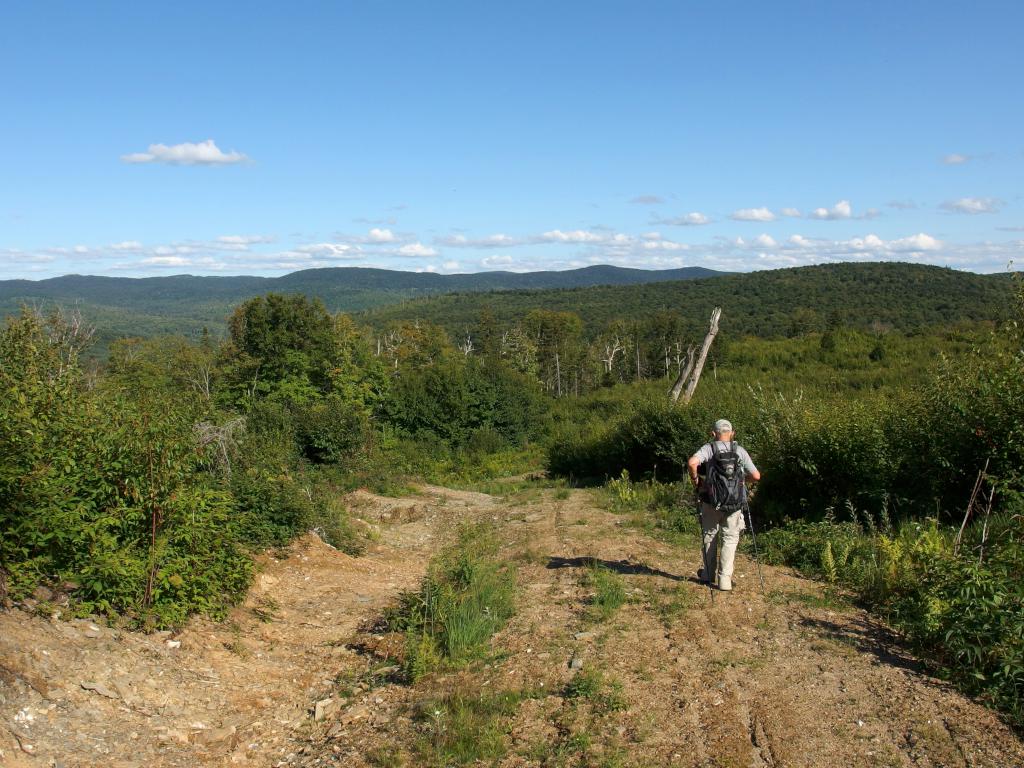 Dick heads down in August from Dead Water Ridge North in northern New Hampshire