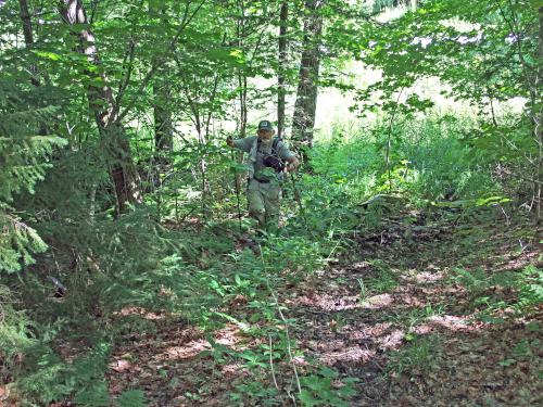 Dick in the woods to Dead Water Ridge North in northern New Hampshire