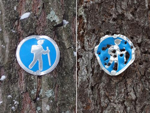 two blazes, one pristine the other abused, in Lowell-Dracut-Tyngsboro State Forest in eastern Massachusetts