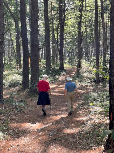 trail in August at Lowell-Dracut-Tyngsboro State Forest in eastern Massachusetts