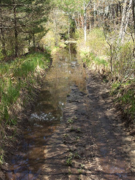 flooded Old Chester Turnpike in May near Dubes Pond Trail near Hooksett in southern New Hampshire