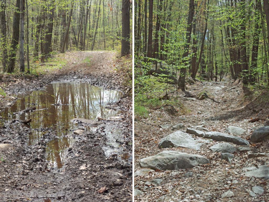 iffy sections of Old Chesterfield Turnpike in May near Dubes Pond Trail at Hooksett in southern New Hampshire