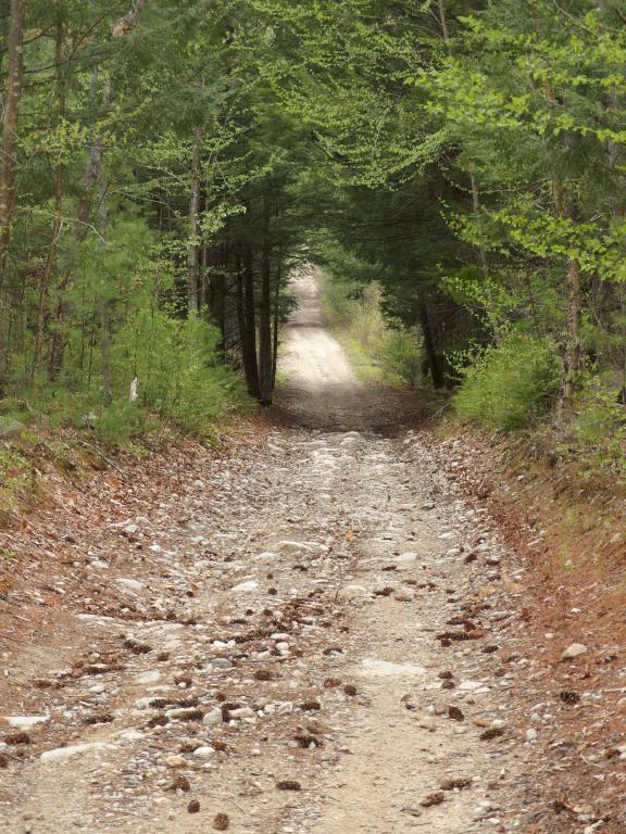 Dubes Pond Trail in May near Hooksett in southern New Hampshire