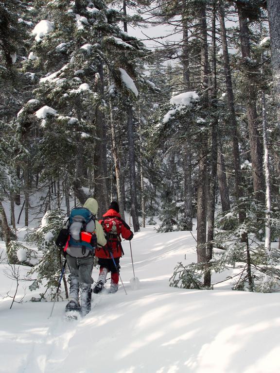 Fran and Julie head up Nancy Pond Trail on a February hike to Duck Pond Peak in New Hampshire