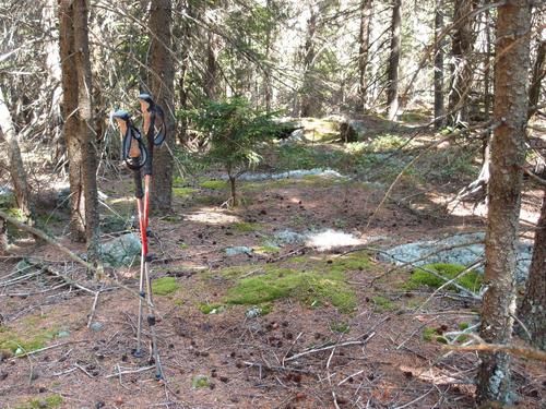 hiking poles at the summit of Durrell Mountain in New Hampshire