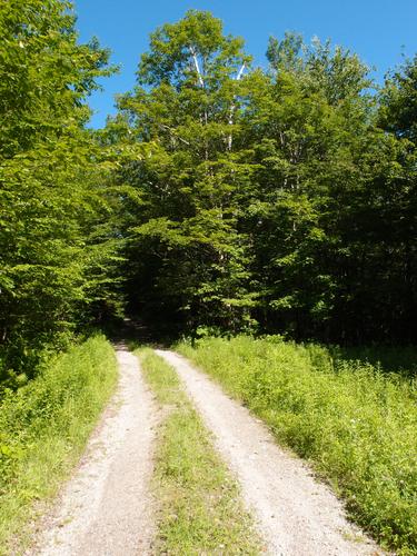 access road to Durrell Mountain in New Hampshire