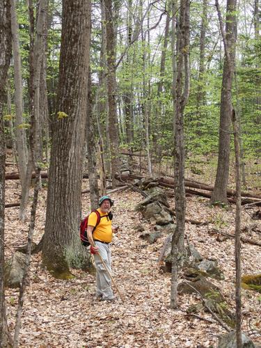 John in the woods on the way to Durrell Mountain near Laconia in the Lakes Region of New Hampshire