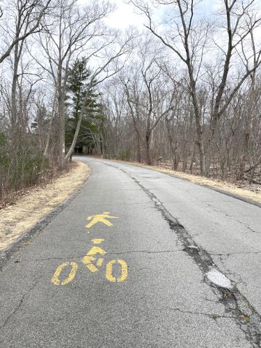 paved trail in March at D. W. Field Park in eastern Massachusetts