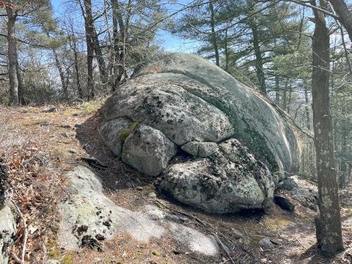 xxx in February at Dykes Pond Loop in northeast MA