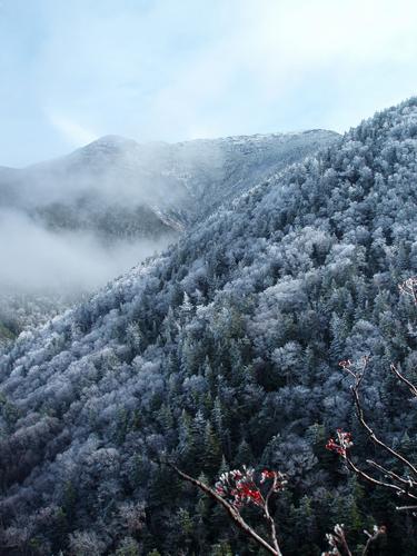 view from Eagle Cliff in New Hampshire