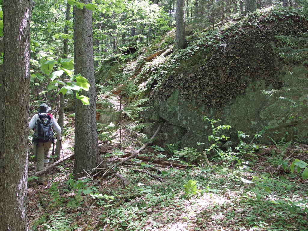 Dick bushwhacks in June up Eagle Cliff in New Hampshire