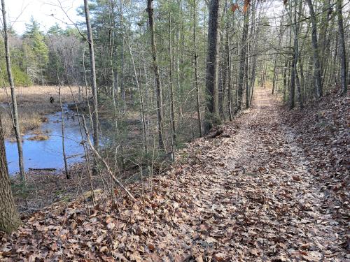 road in November at Eagle Trail in southern NH