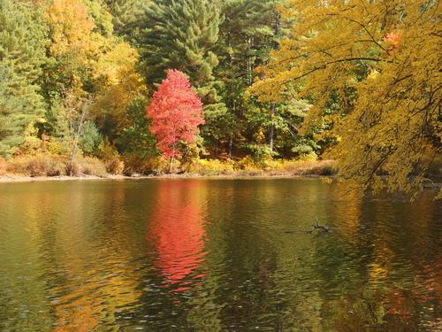 October color reflected off Burges Pond at Stony Brook Conservation Land in Westford, Massachusetts