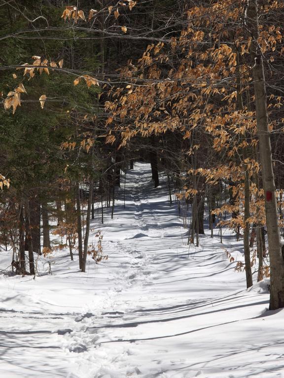 trail at East Side Trails near the Harris Center in southern New Hampshire