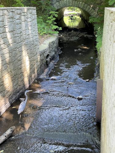 river outflow in August at Echo Bridge near Newton in eastern Massachusetts