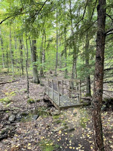 trail in October at Epsom Town Forest in southern New Hampshire