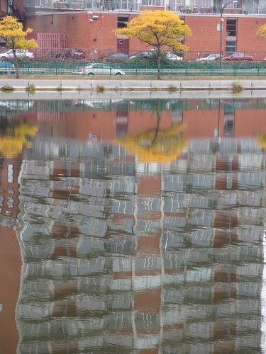 building reflection