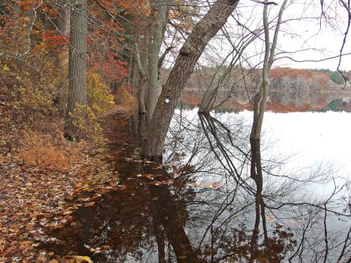 flooded trail in November along Fairhaven Bay at Fairhaven Hill Trails in eastern Massachusetts